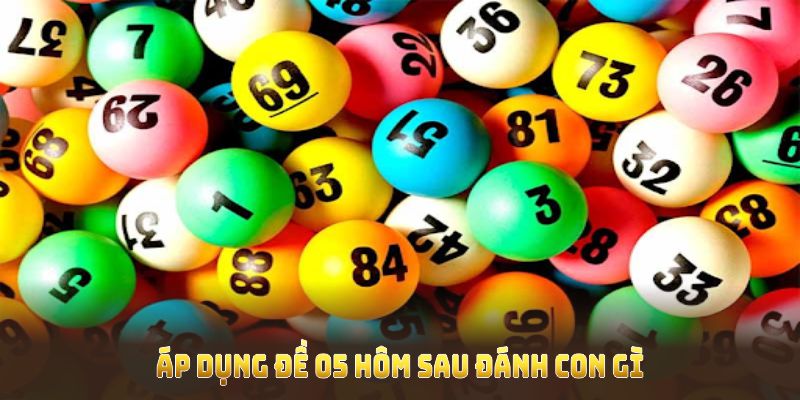 Áp dụng đề 05 hôm sau đánh con gì theo phương pháp chia sẻ