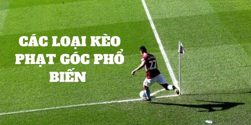 Những loại kèo cược phạt góc thường gặp nhất