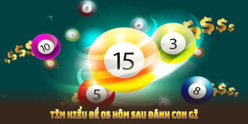 Tìm hiểu đề 05 hôm sau đánh con gì theo cách nhìn thực tế